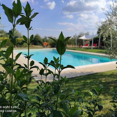 Casa Macinarino Appartamento 13 Con Piscina Loro Ciuffenna Exterior photo